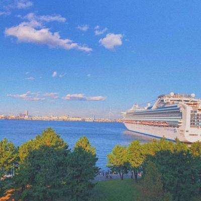 半岛·综合体育手机app下载